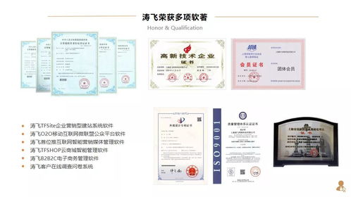上市集團公司構建全球化數字培訓體系的路徑與實踐——基于互聯網技術服務的視角